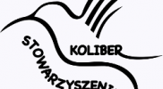 Koliber_PNG_250x250_szare_tlo